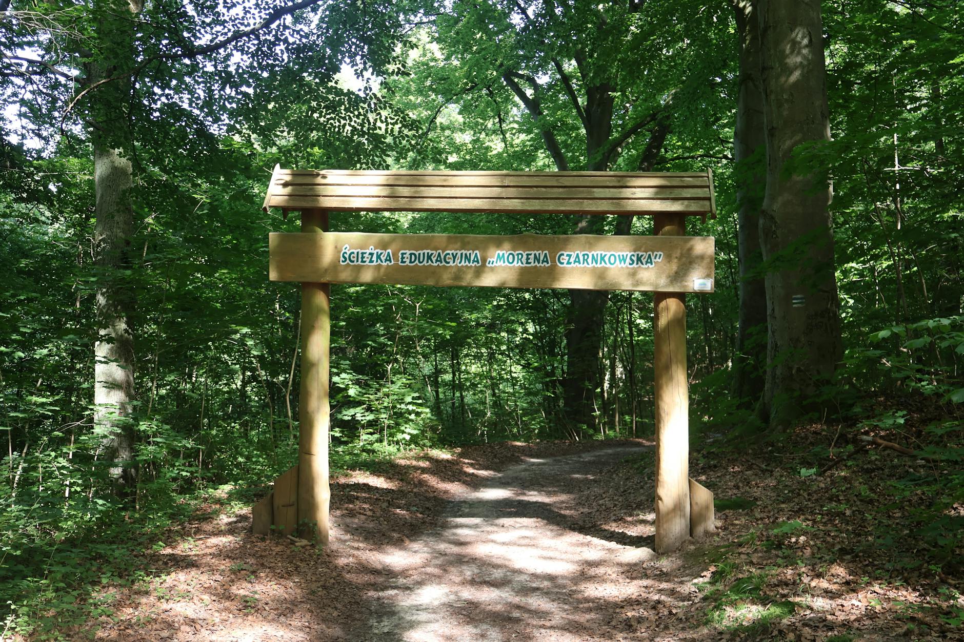 Ścieżka rowerowa Krotoszyn-Sulmierzyce. Inwestycja w rozwój