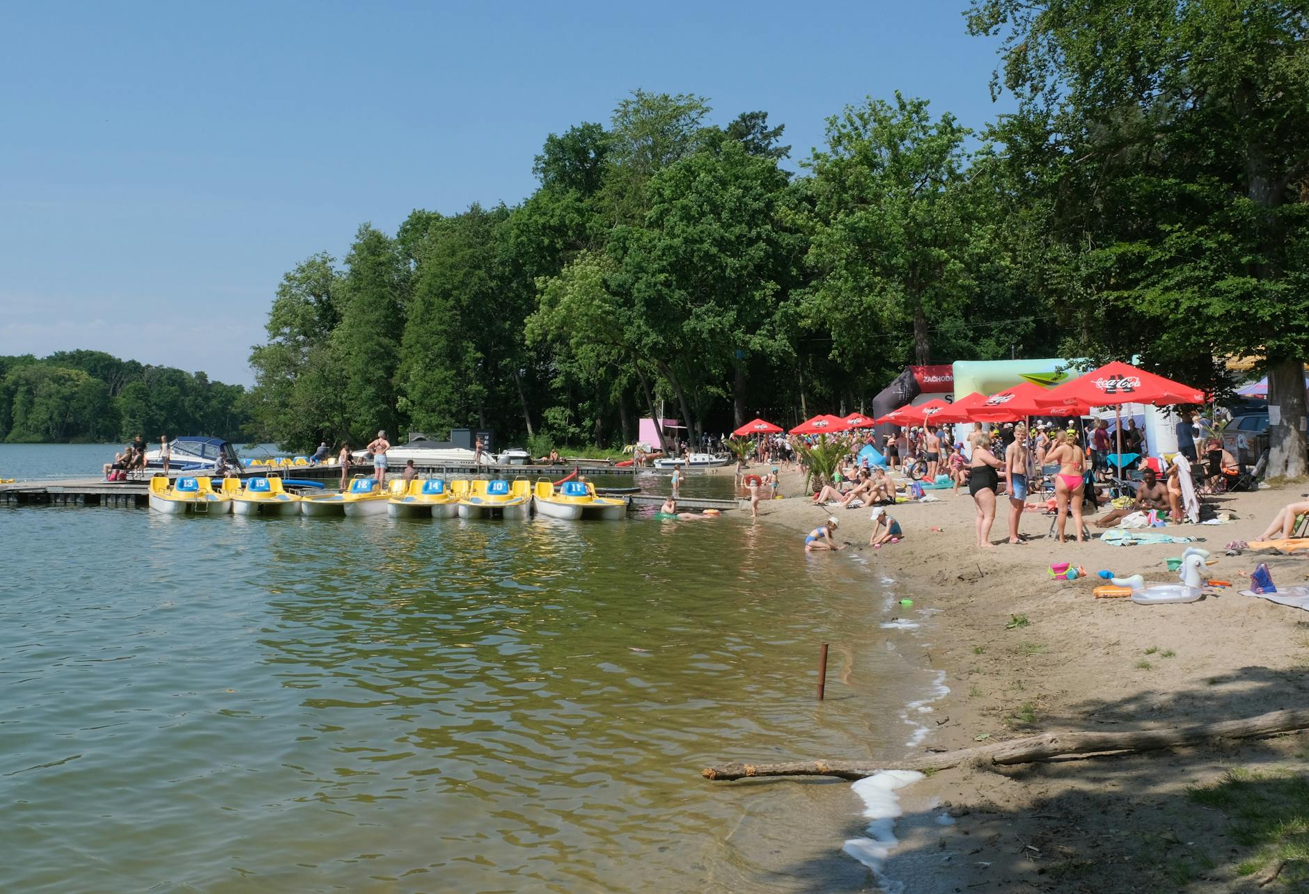 Widok na zielony park miejski w Sulmierzycach podczas słonecznego dnia majowego, z ludźmi spacerującymi po alejkach.